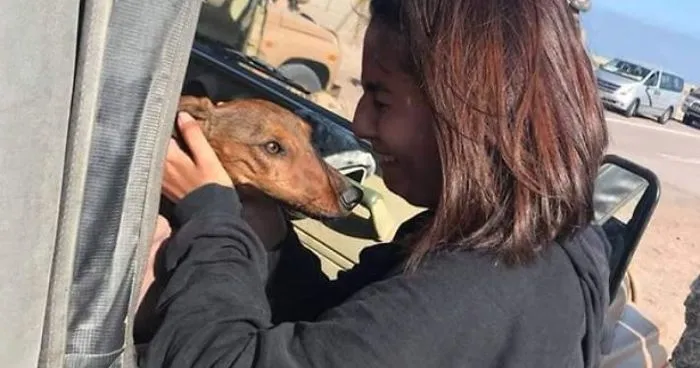 Dog Survives 6 Days In The Desert After Falling Off The Plane
