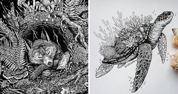 30 Intricate Drawings Of Animals Created By Me