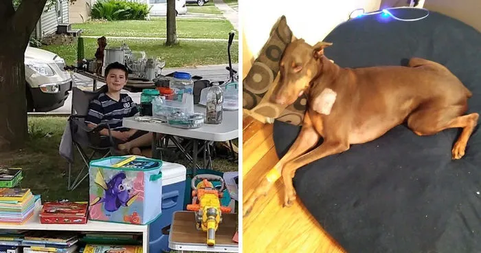 Boy Sells His Toys To Pay For His Service Dog's Treatment