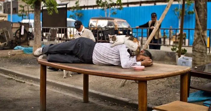I've Spent 3 Incredible Days As A King In A Japanese Slum In Osaka And Photographed It
