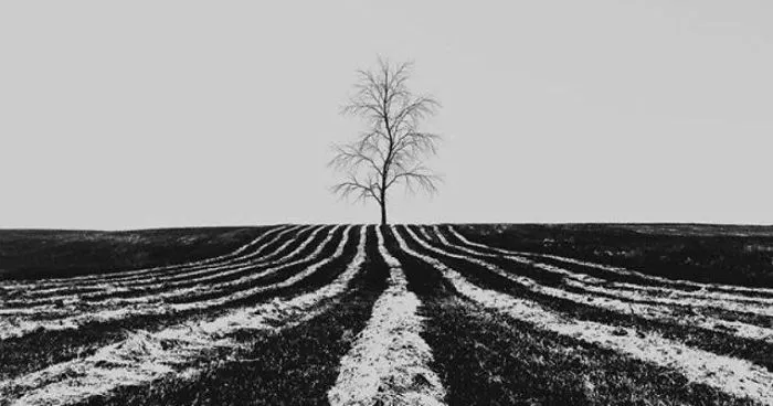 Minimalism In Landscapes