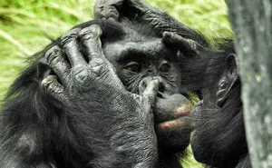Zoo Employee Reveals 16 Most Interesting Animal Facts She Learned At Her Job And We Can't Get Enough