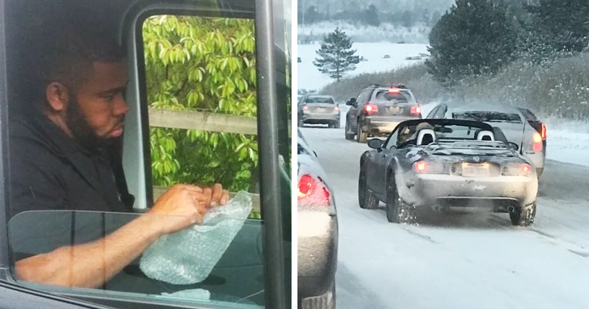 20+ Personas que no podían creer lo que veían en la carretera