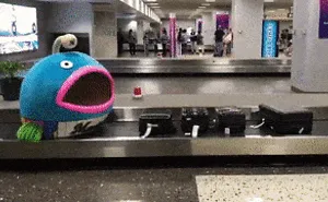 126 Times People Had To Look Twice To Understand What They Were Seeing At The Airport