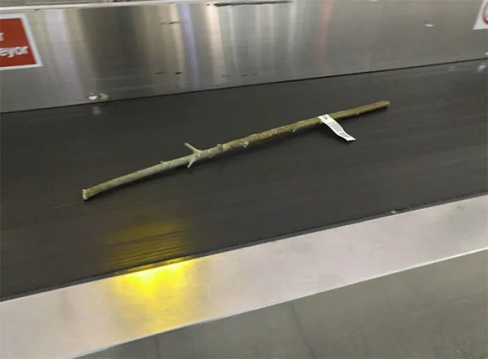 Alguien ha metido un palo en el equipaje