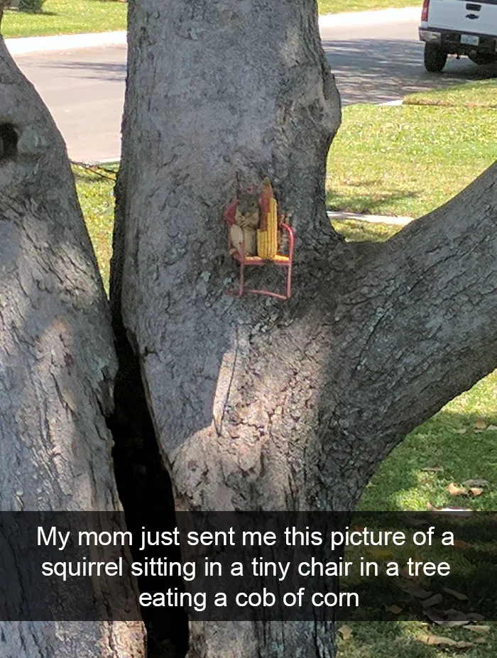 50 Funny Animal Snapchats That Will Leave You With The Biggest Smile