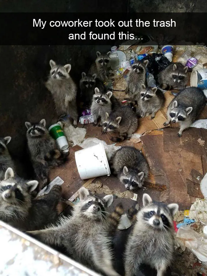 50 Funny Animal Snapchats That Will Leave You With The Biggest Smile