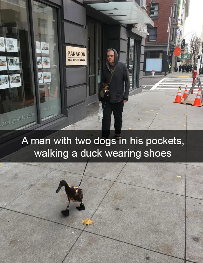 50 Funny Animal Snapchats That Will Leave You With The Biggest Smile