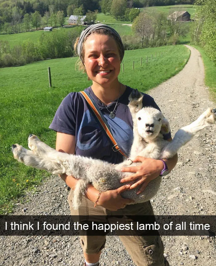 50 Funny Animal Snapchats That Will Leave You With The Biggest Smile