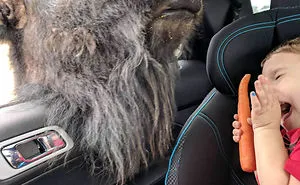 50 Funny Animal Snapchats That Will Leave You With The Biggest Smile