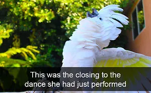 50 Funny Animal Snapchats That Will Leave You With The Biggest Smile