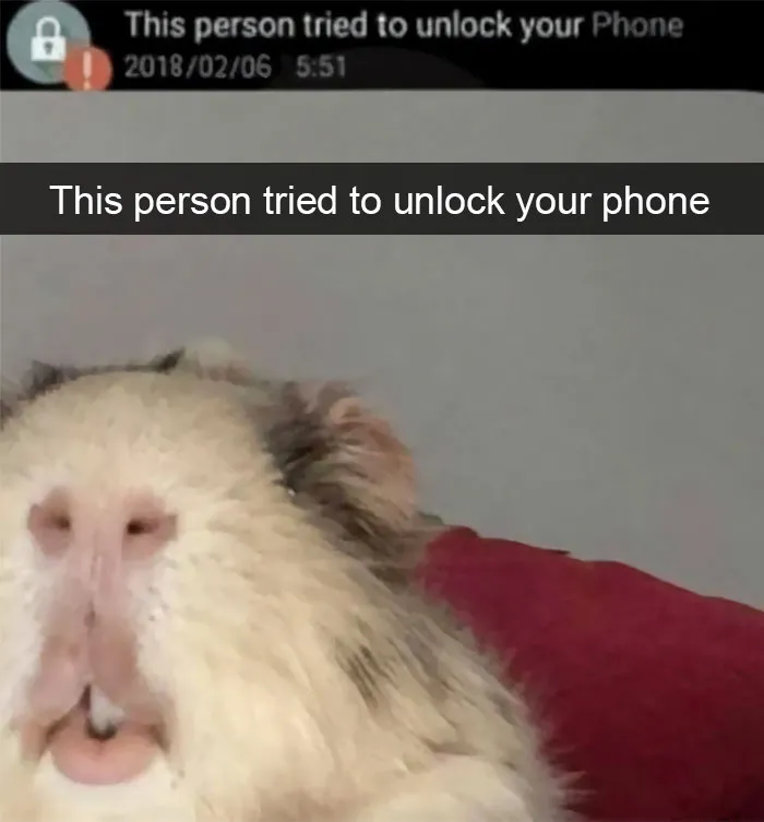 50 Funny Animal Snapchats That Will Leave You With The Biggest Smile