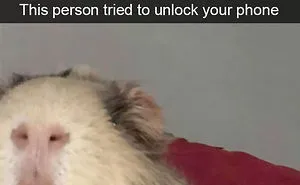 50 Funny Animal Snapchats That Will Leave You With The Biggest Smile