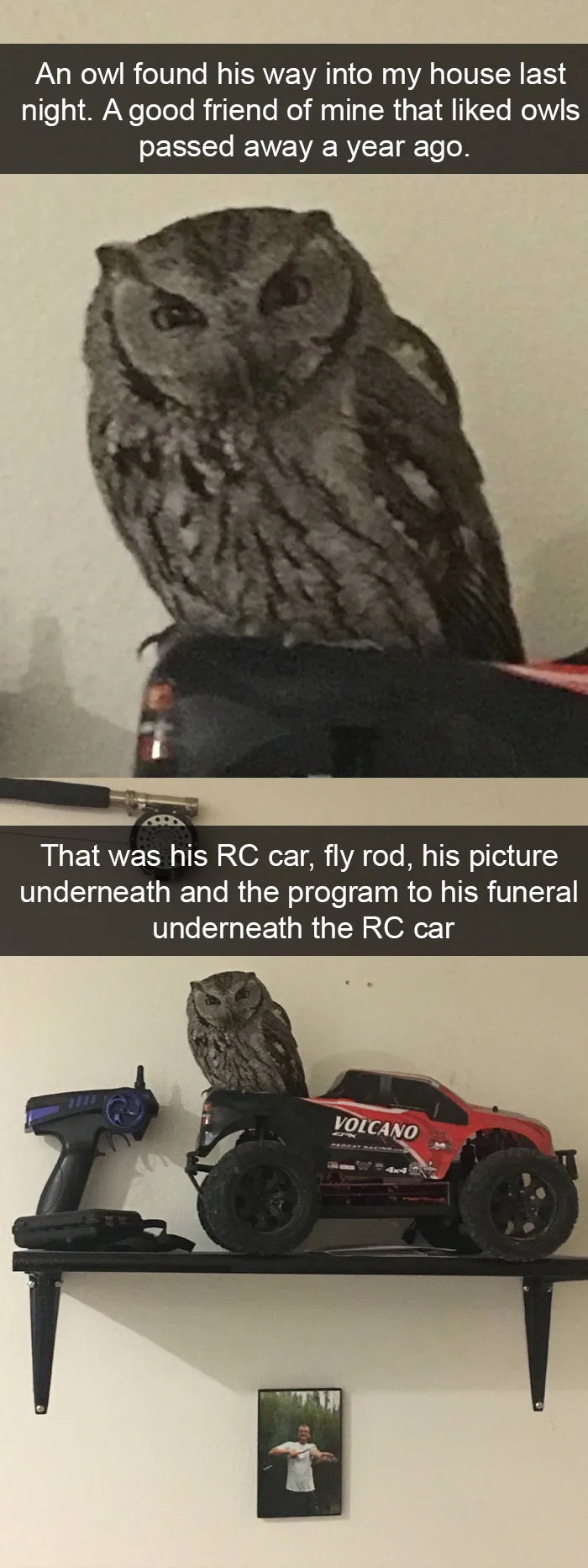 50 Funny Animal Snapchats That Will Leave You With The Biggest Smile