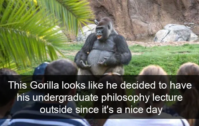 50 Funny Animal Snapchats That Will Leave You With The Biggest Smile