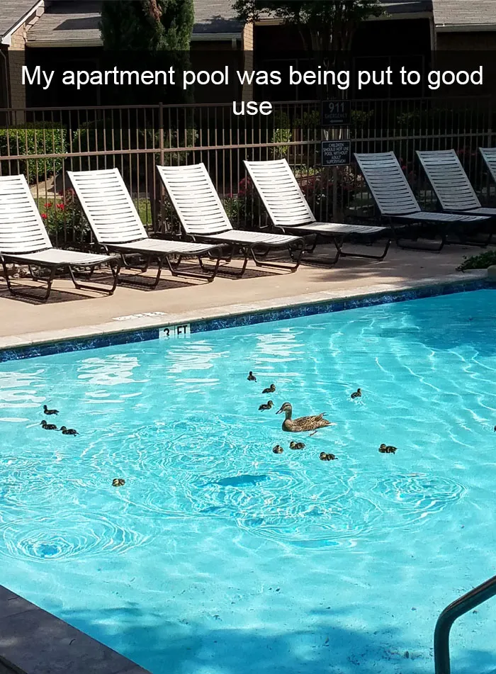 50 Funny Animal Snapchats That Will Leave You With The Biggest Smile