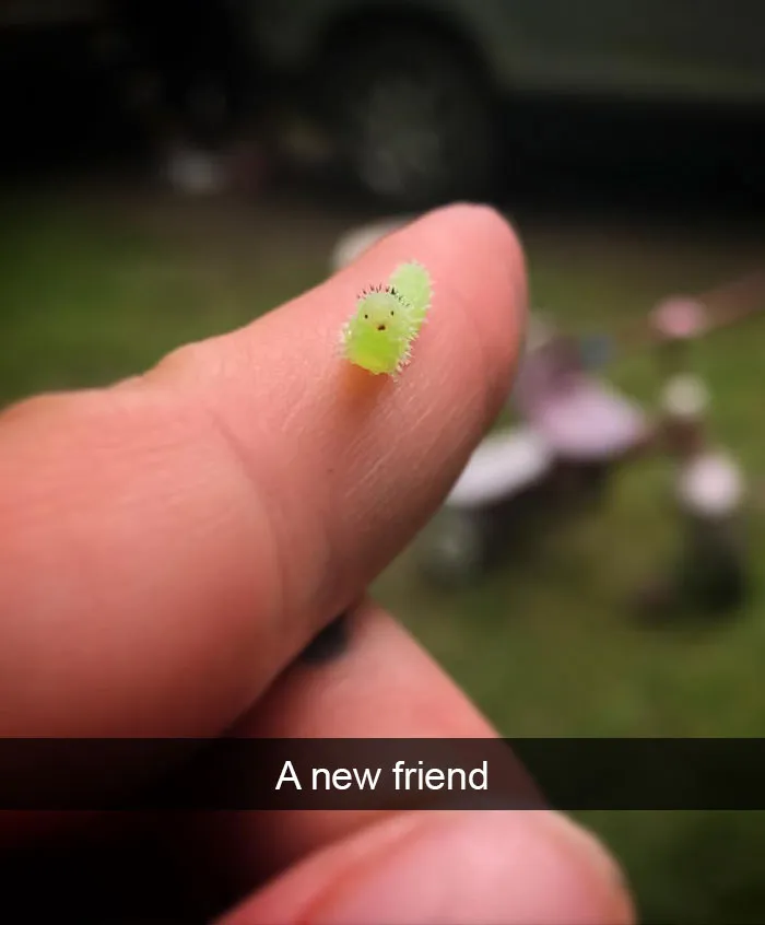 50 Funny Animal Snapchats That Will Leave You With The Biggest Smile