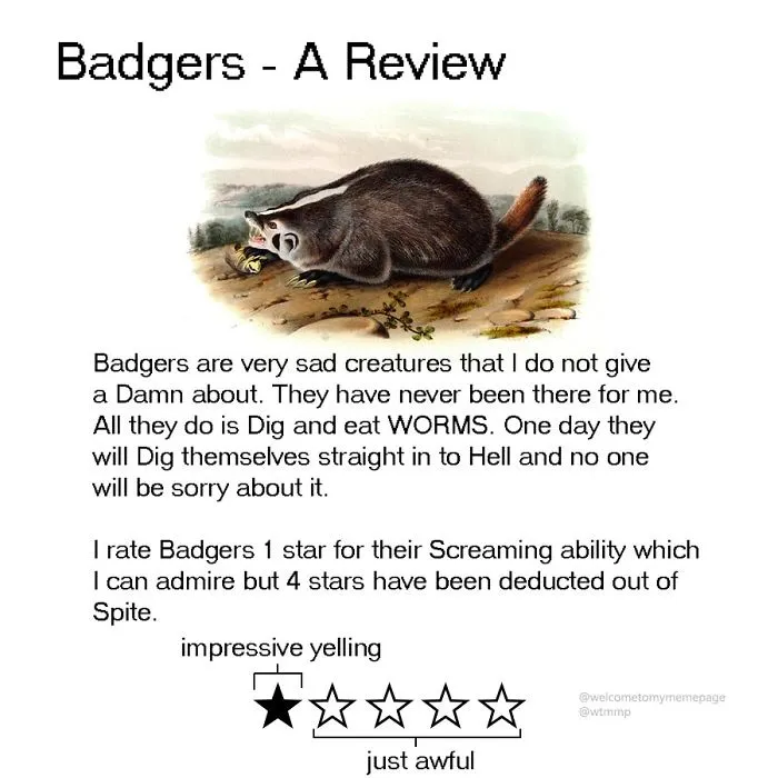 Badgers