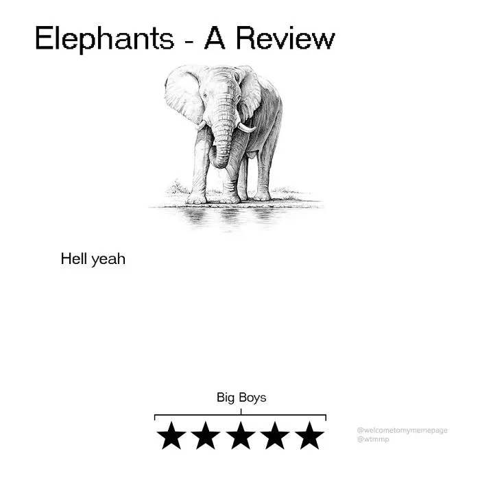 Elephants