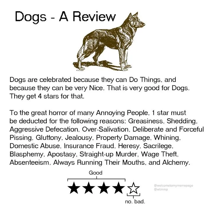 Dogs