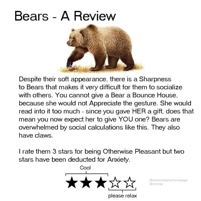 Bears
