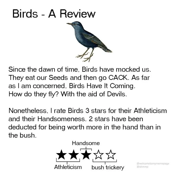 Birds