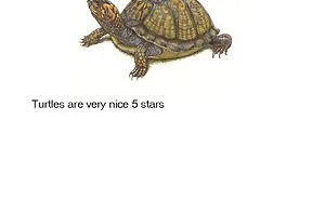 Someone Writes Hilarious Animal Reviews, And The Reason Why Dogs Get Only 4 Out Of 5 Stars Will Crack You Up