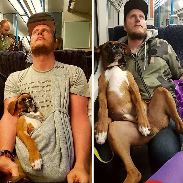 We’re Gonna Need A Bigger Seat