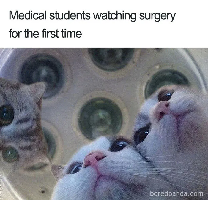 Medical Students