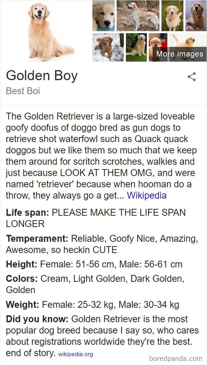 Golden Boy