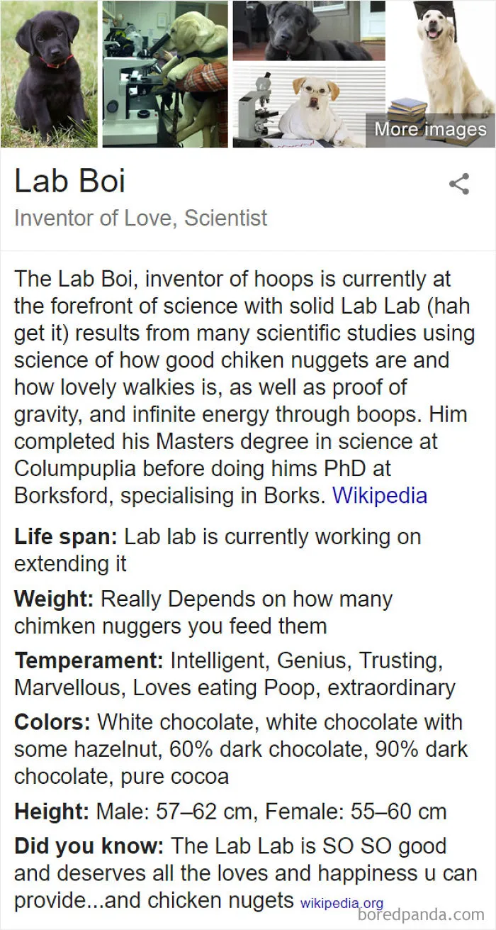 Lab Boi