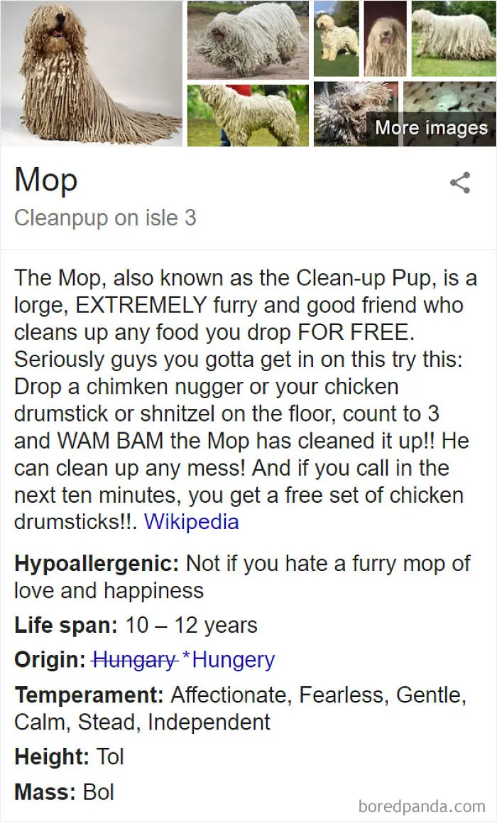 Mop