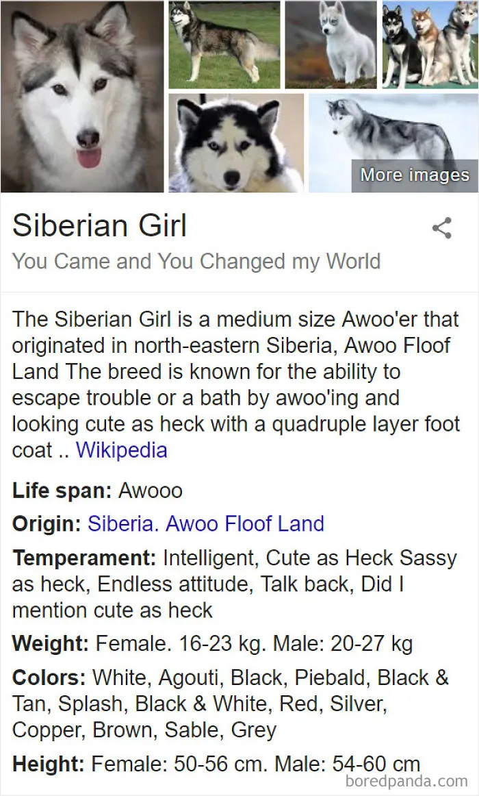 Siberian Girl