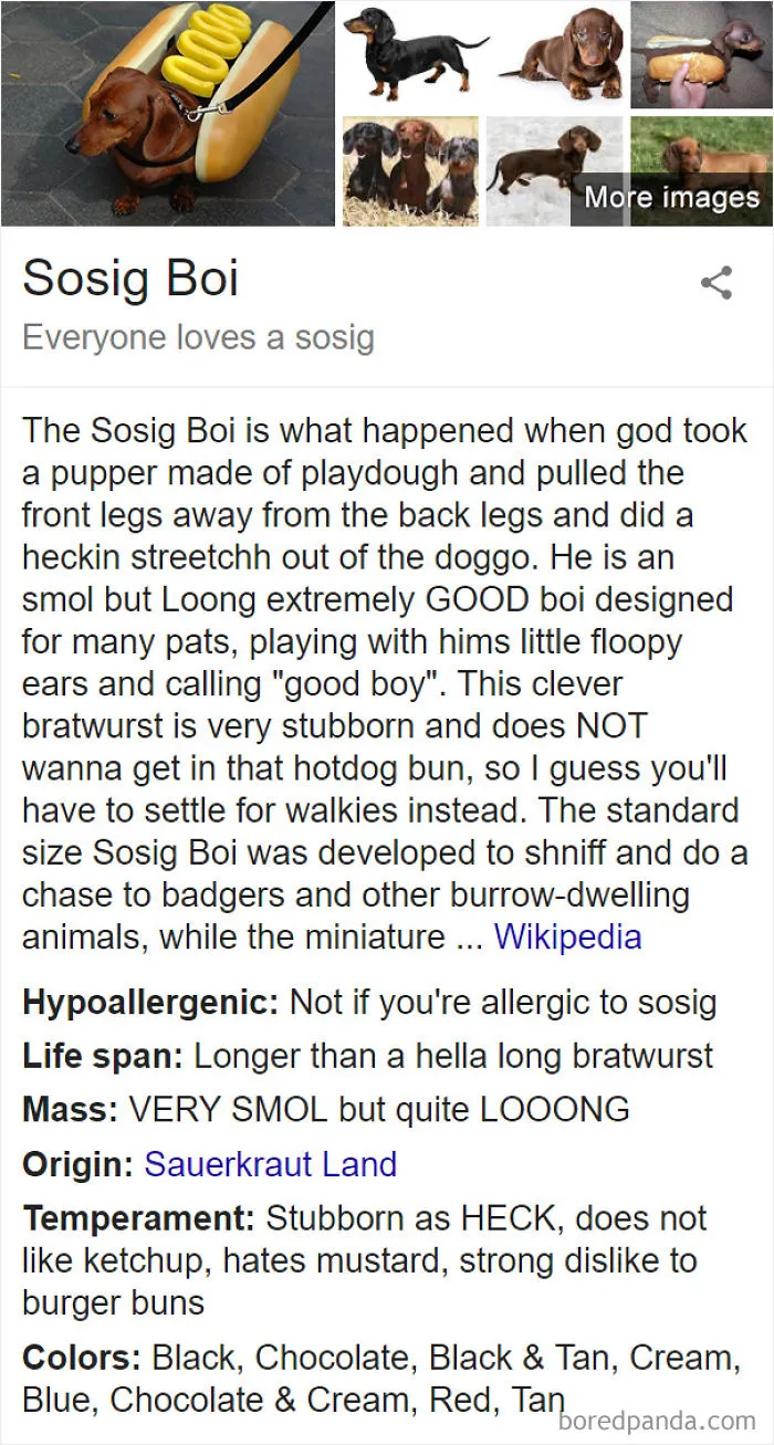 Sosig Boi