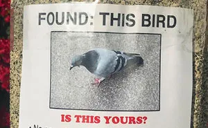 This Guy Won't Stop Trolling His Neighborhood With Fake Posters, And People Can't Stop Laughing