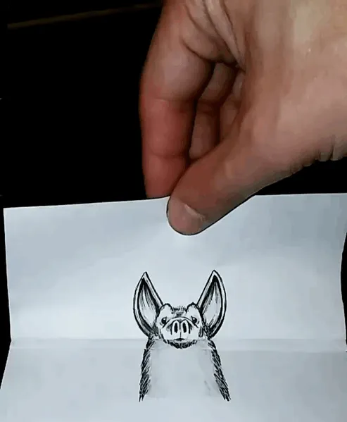 33 Innocent Illustrations That Have A Hidden Surprise You Probably Don't Want To See