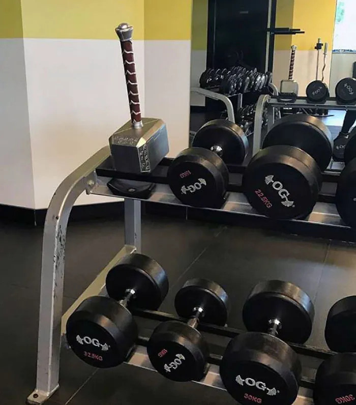 Fitness Level: Pro