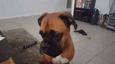 Lanzando indirectas