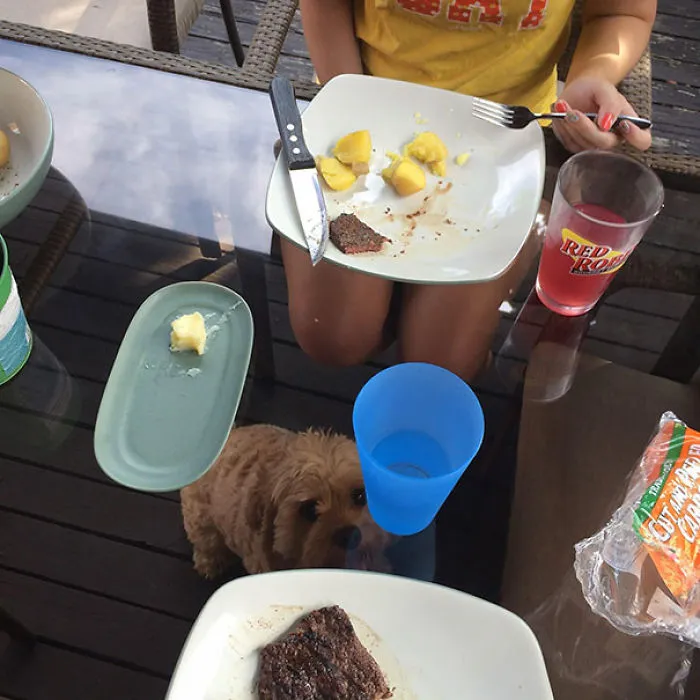 No pensamos que esto pasaría al comprar una mesa de cristal
