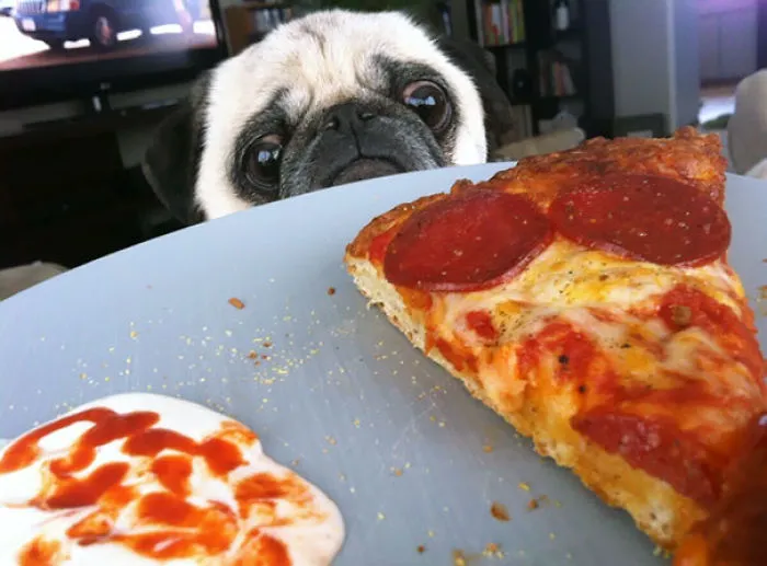 ¿Pizza, porfa?