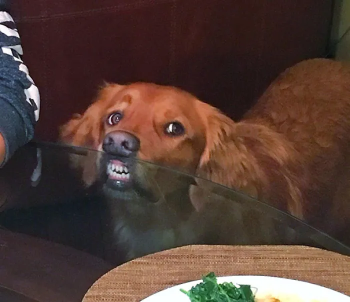Cuando cenas en una mesa de cristal