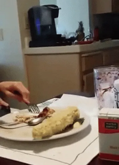 This Is Our Dog Joey. I Wish We Could Say He Was Trained To Do This