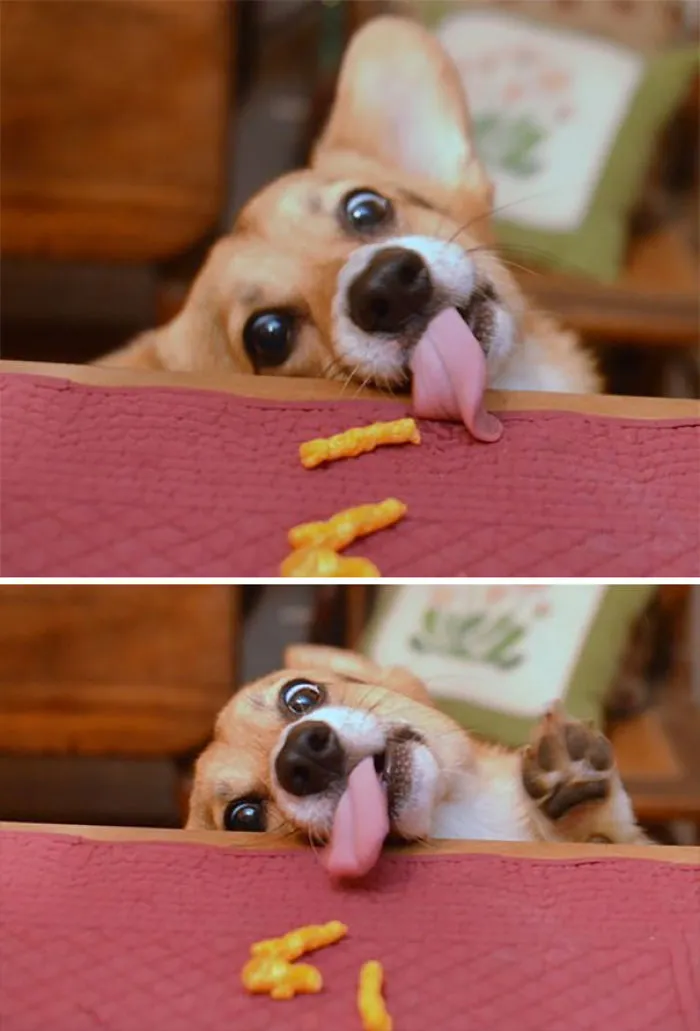 Quiere cheetos