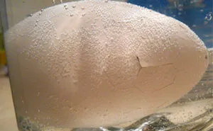 Someone Finds Old "Grow In Water" Egg At Goodwill And Puts It In Water, Regrets It 23 Hours Later