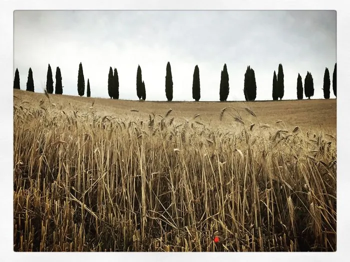Tuscany