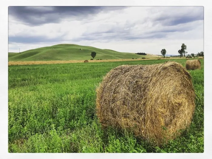 Tuscany
