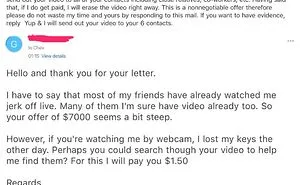 Troll The Scammer