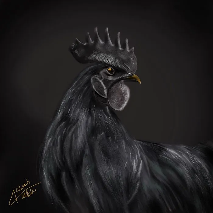 Black Is Always Meaning Full