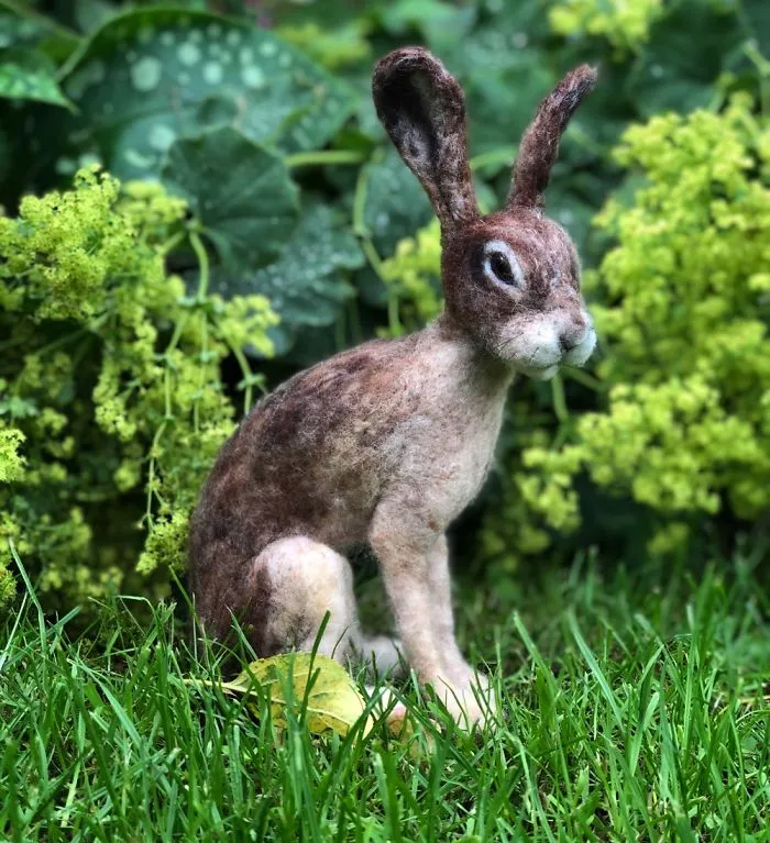 Feltart Hare