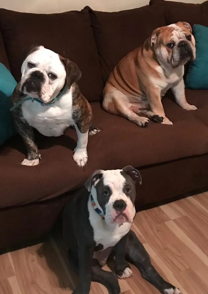 Hurry Up And Take The Picture Mom, We Want To Go Play.